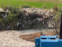 Limbah Singkong Menumpuk di Sungai Bulumanis Lor Pati, Irigasi Tersumbat dan Petani Terancam