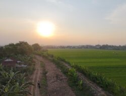 Limbah Penuhi Sungai Bango, Lalat Hingga Masuk Rumah Warga Bulumanis Lor
